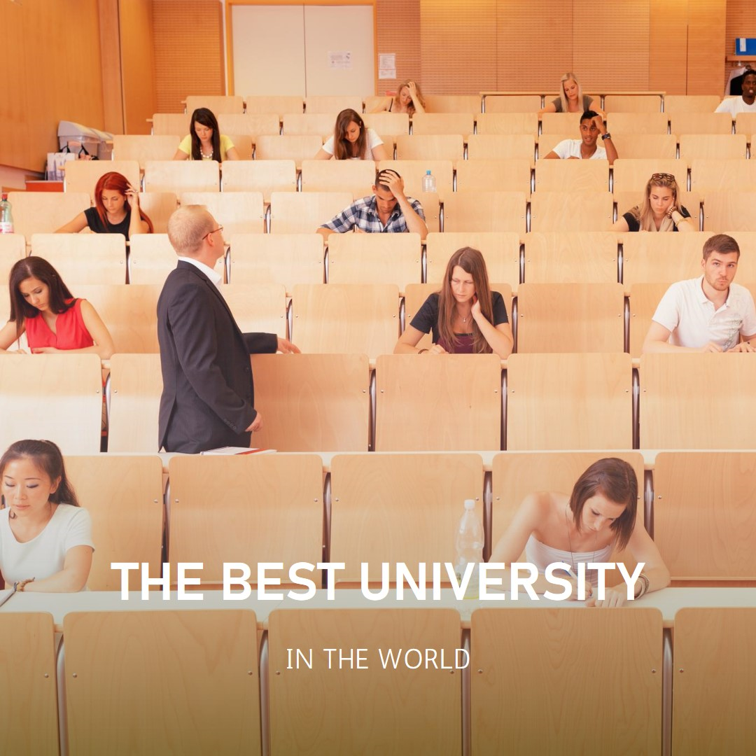 The Best University in the World